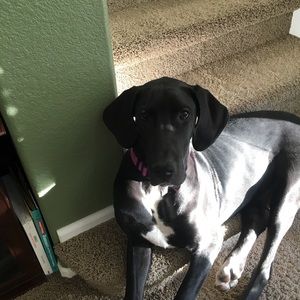 Meet your Posher, Sara